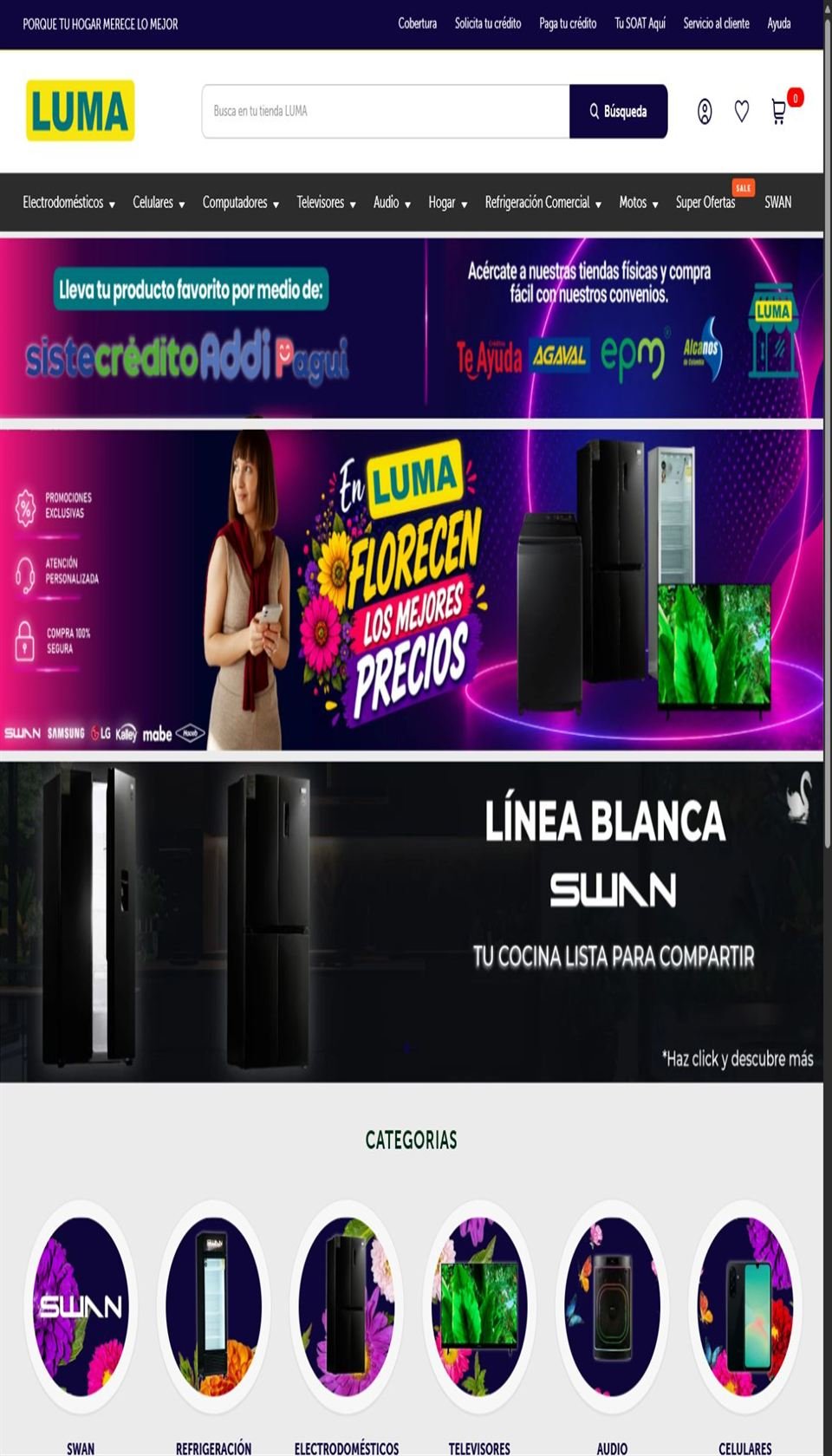Vista del sitio web de LUMA